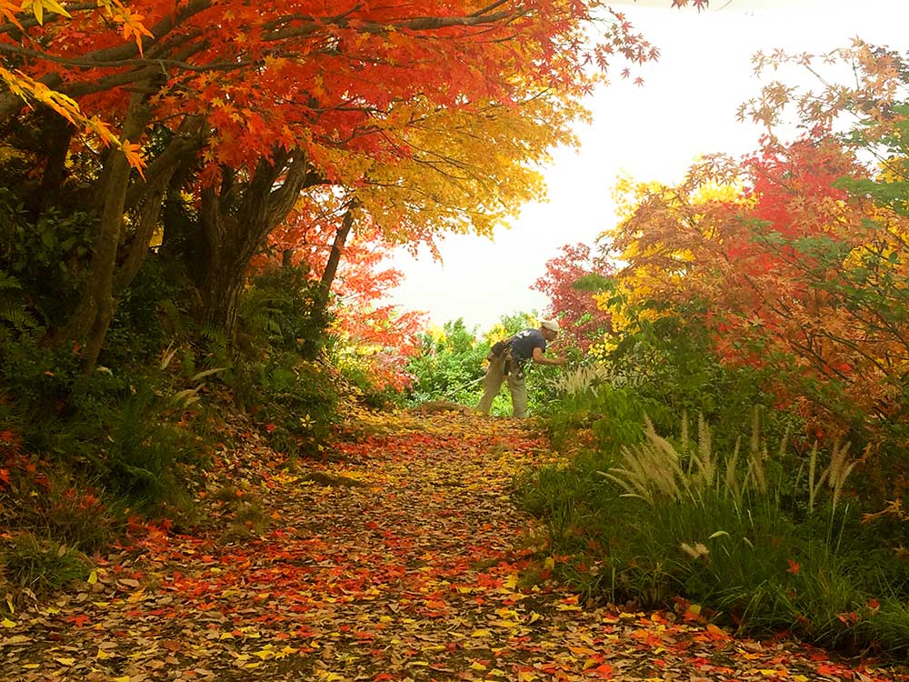 造葉などで作られた紅葉の風景