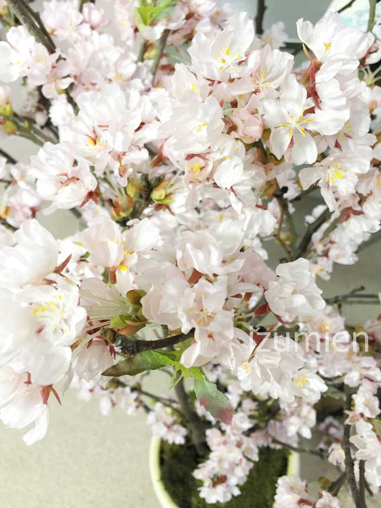 桜の木 ディスプレイ 装飾レンタル 株式会社和泉園