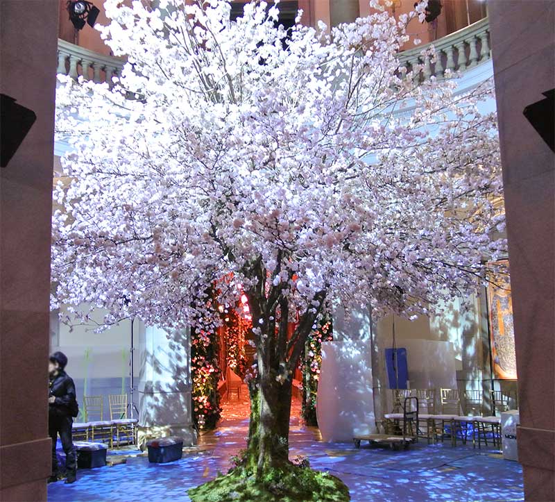ファッションショーの装飾に作られた桜の木