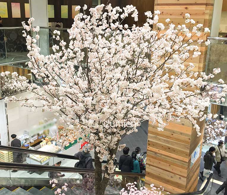 商業施設に桜の装飾