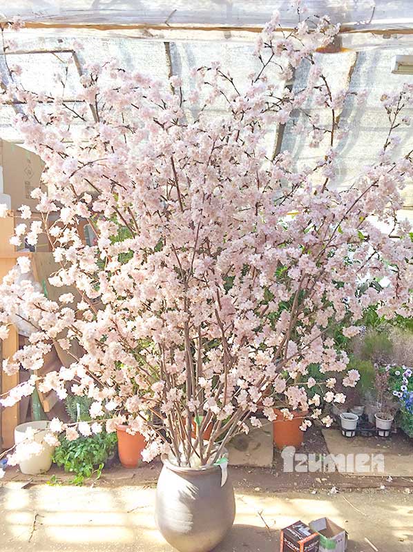 桜の装飾アップ